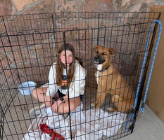 PXL 20250628 162631124