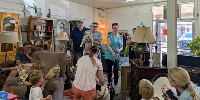 PXL 20250628 163501854.MP