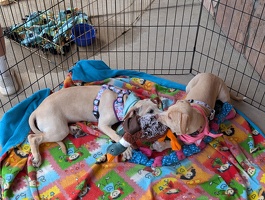 PXL 20250628 164702228