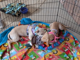 PXL 20250628 164703027