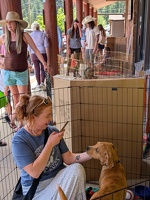 PXL 20250628 164929575