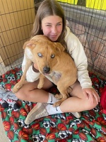 2025 June 28th Adoption Event