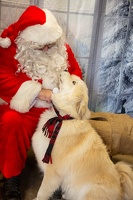 EAPL-SantaPhotos--11