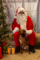 EAPL-SantaPhotos--22