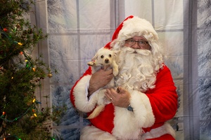 EAPL-SantaPhotos--25