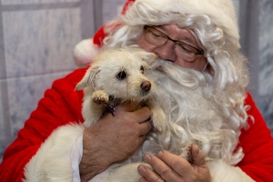 EAPL-SantaPhotos--26