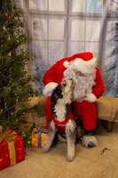 EAPL-SantaPhotos--29