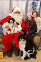 EAPL-SantaPhotos--31