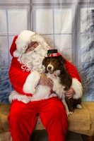 EAPL-SantaPhotos--38