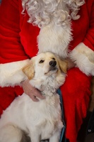 EAPL-SantaPhotos--46