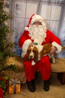EAPL-SantaPhotos--52