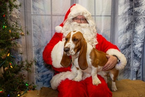 EAPL-SantaPhotos--53