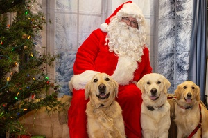 EAPL-SantaPhotos--62