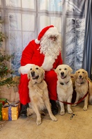 EAPL-SantaPhotos--64