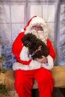 EAPL-SantaPhotos--7