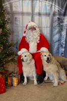 EAPL-SantaPhotos--75