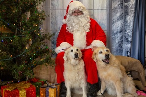 EAPL-SantaPhotos--77