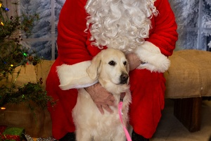 EAPL-SantaPhotos--78