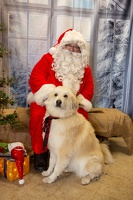 EAPL-SantaPhotos--8