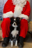 EAPL-SantaPhotos--81