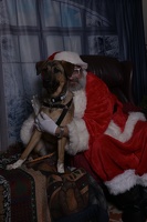 2025-11-05 EAPL Santa 12-MillieB 021