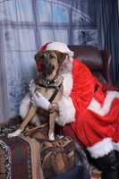 2025-11-05 EAPL Santa 12-MillieB 022