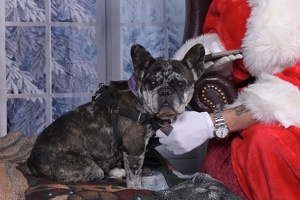 2025-11-05 EAPL Santa 13-Athena 016