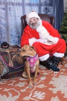 2025-11-05 EAPL Santa 15-Dreamy-001