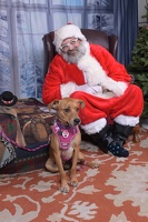 2025-11-05 EAPL Santa 15-Dreamy-002