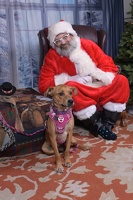 2025-11-05 EAPL Santa 15-Dreamy-003