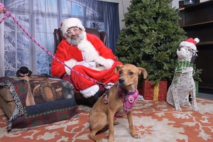 2025-11-05 EAPL Santa 15-Dreamy-006