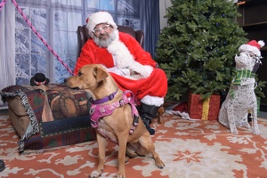 2025-11-05 EAPL Santa 15-Dreamy-008