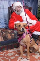 2025-11-05 EAPL Santa 15-Dreamy-009