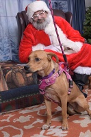 2025-11-05 EAPL Santa 15-Dreamy-010