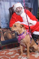 2025-11-05 EAPL Santa 15-Dreamy-011