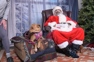 2025-11-05 EAPL Santa 15-Dreamy-014