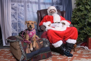 2025-11-05 EAPL Santa 15-Dreamy-016