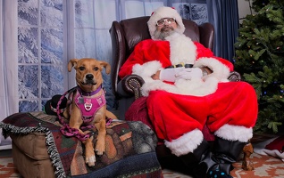 2025-11-05 EAPL Santa 15-Dreamy-017 01