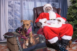 2025-11-05 EAPL Santa 15-Dreamy-018