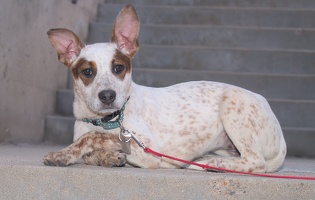 2025-07-12 EAPL Thrift Store - Blair 003