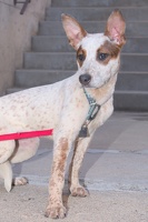 2025-07-12 EAPL Thrift Store - Blair 012