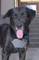 2025-07-12 EAPL Thrift Store - Bronco  011