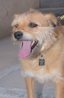 2025-07-12 EAPL Thrift Store - Joey  024