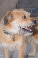 2025-07-12 EAPL Thrift Store - Joey  026