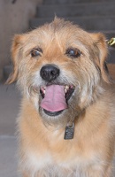 2025-07-12 EAPL Thrift Store - Joey  034