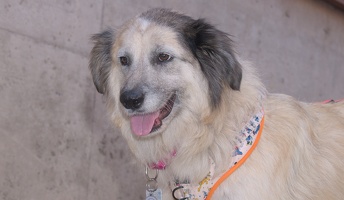 2025-07-12 EAPL Thrift Store - Lulu  002