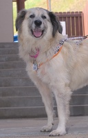 2025-07-12 EAPL Thrift Store - Lulu  009