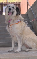 2025-07-12 EAPL Thrift Store - Lulu  014