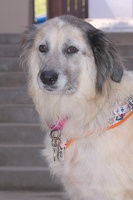 2025-07-12 EAPL Thrift Store - Lulu  017