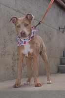 2025-07-12 EAPL Thrift Store - Velma  002